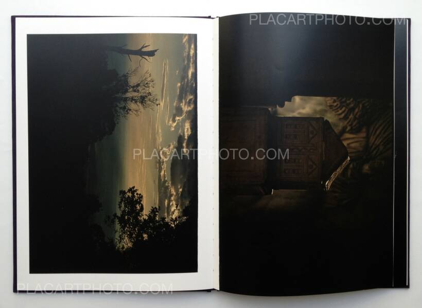 写真集 Bill Henson (ビル・ヘンソン) - photographs 1974-1984